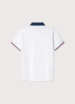 regular fit colour block polo