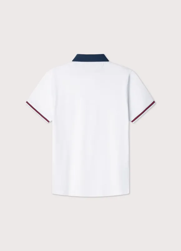 regular fit colour block polo