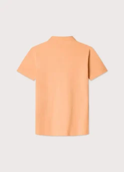 regular fit pima polo