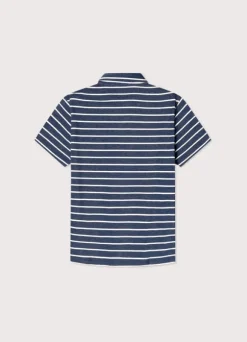 regular fit striped polo
