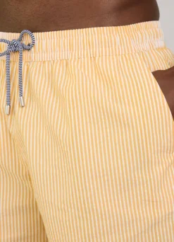 striped seersucker swim shorts