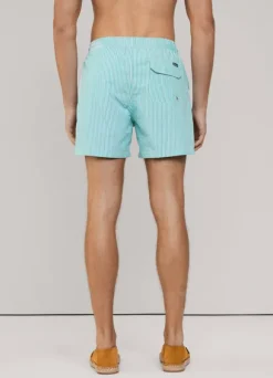 striped seersucker swim shorts