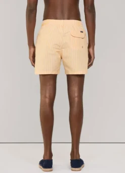 striped seersucker swim shorts