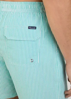 striped seersucker swim shorts